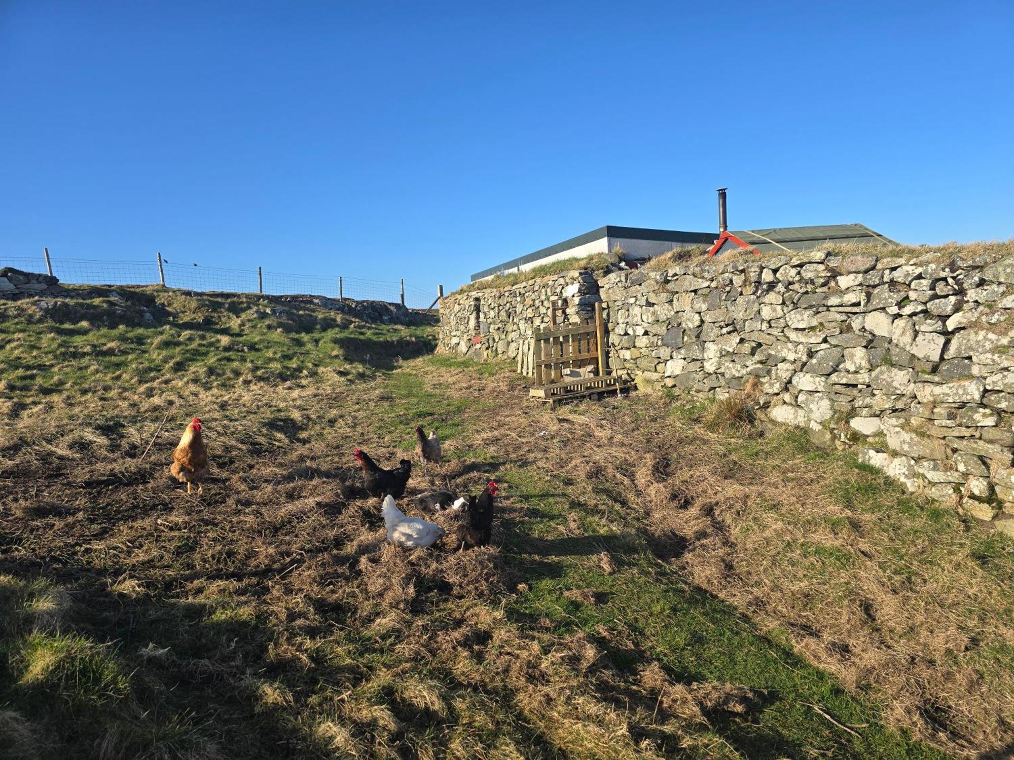 Willa Squealing Pig Bothy Barvas Zewnętrze zdjęcie