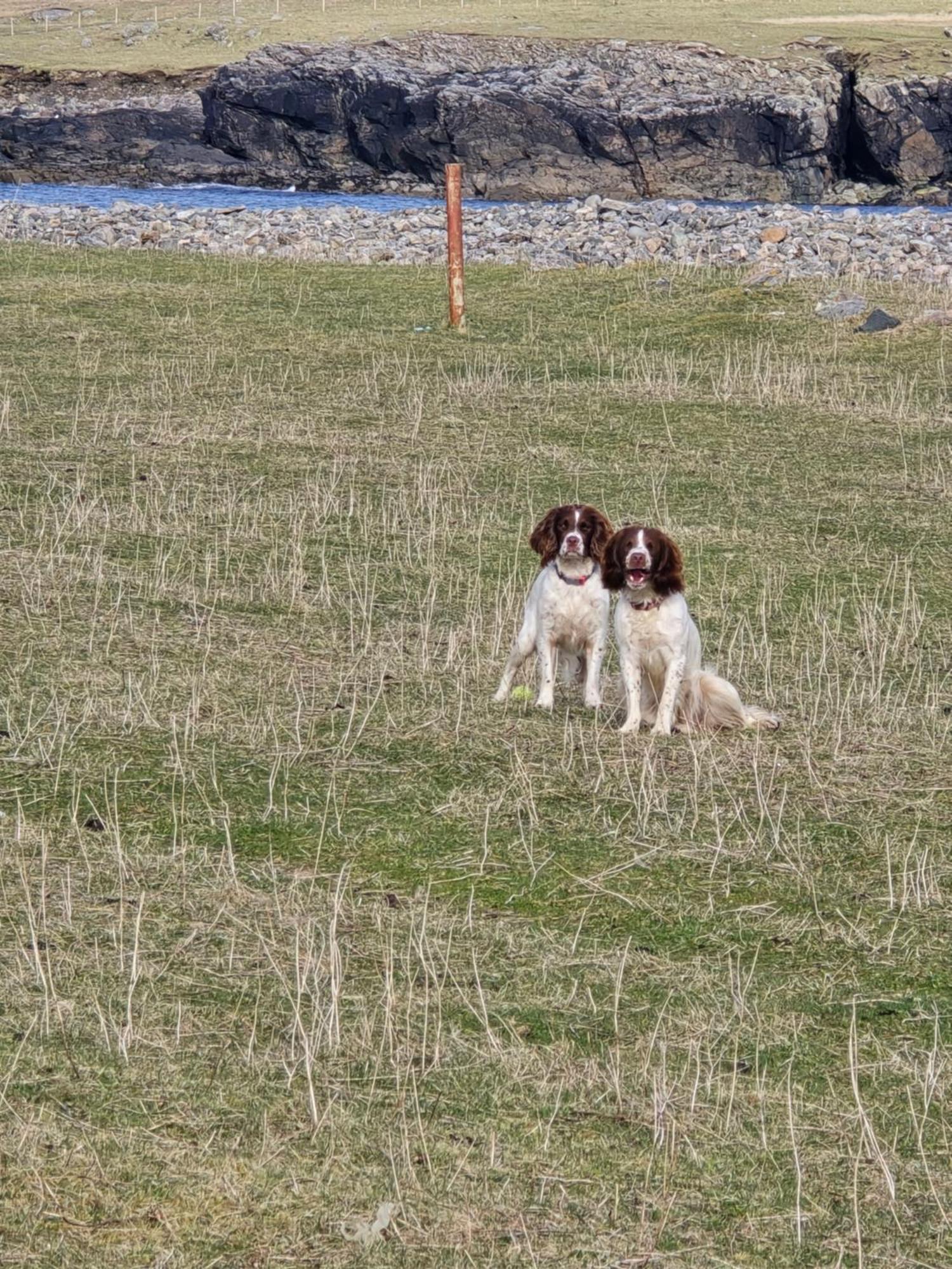 Willa Squealing Pig Bothy Barvas Zewnętrze zdjęcie